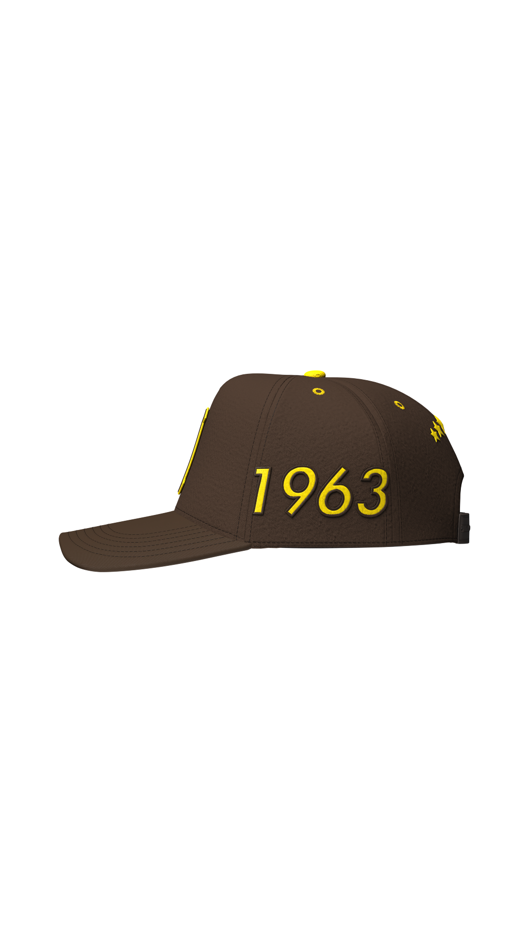 The Owtlaws Snapback - Bronze Edition